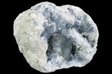 Celestine (Celestite) Geode ( Lbs) - Large Crystals! #106691-5